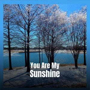 Обложка для Carl Smith - You Are My Sunshine