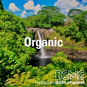 Обложка для Hawaiian BGM channel feat. Hula Mana - Noni Noni