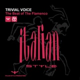 Обложка для Trivial Voice - The Beat Of The Flamenco (Original Mix)
