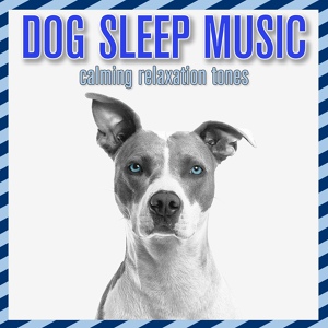 Обложка для Relax My Dog, Dog Music Dreams - Healthy Pup