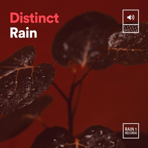 Обложка для Stormy Station - Synchronize Rain