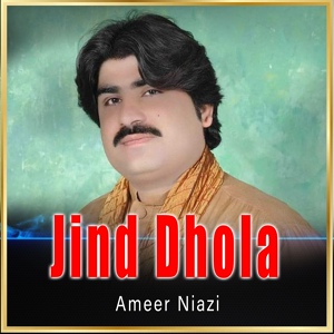 Обложка для Ameer Niazi - Jind Dhola