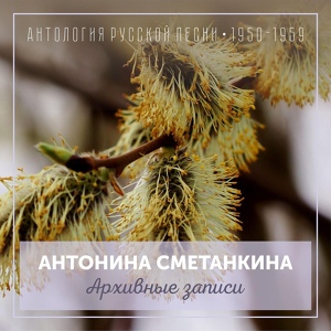 Обложка для Антонина Сметанкина - Тамбовские частушки