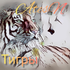 Обложка для AtesN - Тигры