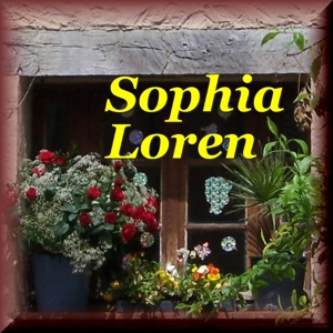 Обложка для Sophia Loren - Perche' Domani