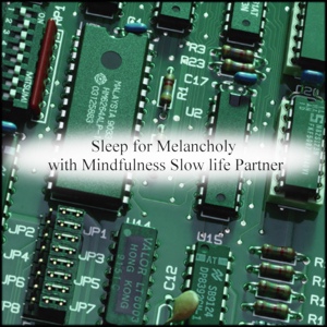 Обложка для Mindfulness Slow Life Partner - Orchid & Stress Free
