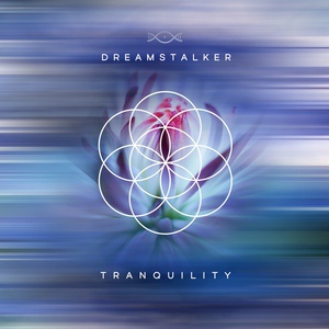 Обложка для Dreamstalker - 432Hz Meditation