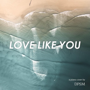 Обложка для DPSM - Love Like You