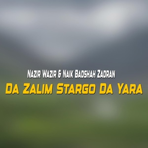 Обложка для Nazir Wazir, Naik Badshah Zadran - Da Che Ta Yar Za Ganrali