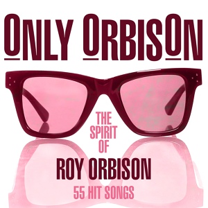 Обложка для Roy Orbison - Distant Drums