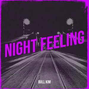 Обложка для Bull Kim - Night Feeling