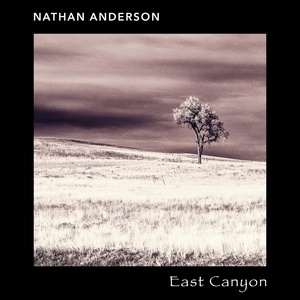 Обложка для Nathan Anderson - Storm Ballad