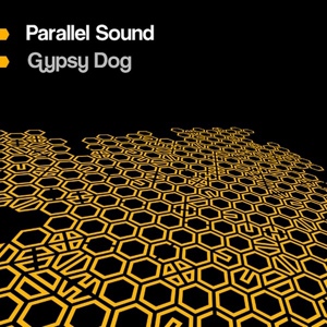 Обложка для Parallel Sound - Neon Skye - Original Mix