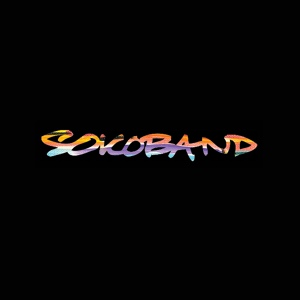 Обложка для Sokoband feat. Michael Sokolowski, Houston Ross, Nir Z, Steve Kimock, Tim Reynolds - Jiriki