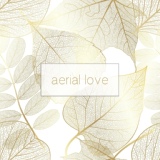 Обложка для Aerial Love - Celestial