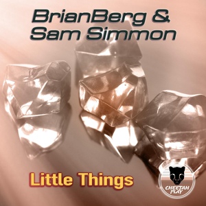 Обложка для BrianBerg, Sam Simmon - Little Things