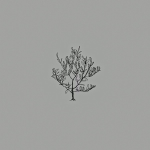 Обложка для Emili Henry - Olive Tree
