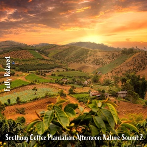 Обложка для Steve Brassel - Soothing Coffee Plantation Afternoon Nature Sound, Pt. 14