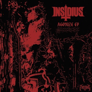 Обложка для INSIDIUS - Agonize