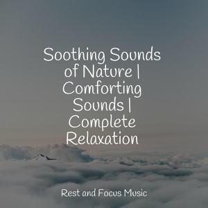 Обложка для Guided Meditation Music Zone, Best Relaxing SPA Music, Alpha Waves - Deep Sleep Nature