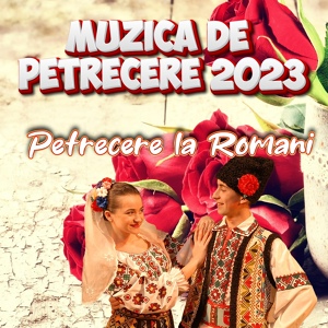 Обложка для Petrecere la Romani - Hai mai sofere