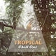 Обложка для Brazilian Lounge Project - Under the Palms