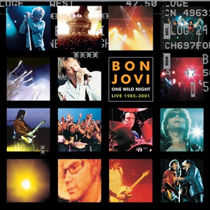 Обложка для Bon Jovi - Something For The Pain