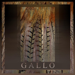 Обложка для DJ Acece - Gallo