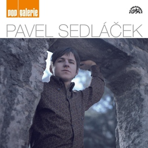 Обложка для Pavel Sedláček - Tváře Mužů