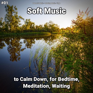 Обложка для Peaceful Music, Relaxing Music, Yoga - Soft Music Part 38