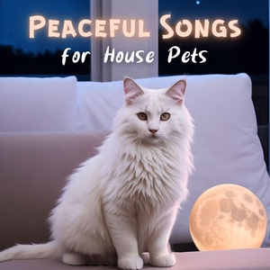 Обложка для Pet Care Music Therapy - Puppy Dreamscape