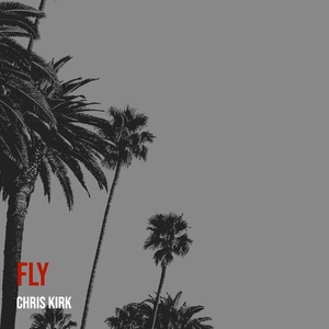 Обложка для chris kirk - Fly
