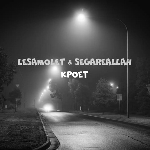 Обложка для LeSamolet, SEGAREALLAH - Кроет