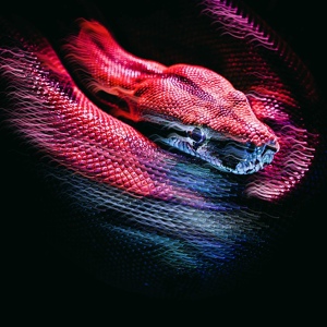 Обложка для SPLITZ - Cobra
