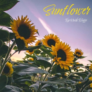 Обложка для Rosh Blazze - Sunflower