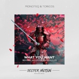 Обложка для Relaxing Deep House ➜Monoteq & Toricos - What You Want (Ballester Remix)