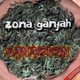 Обложка для Zona Ganjah - Somos R