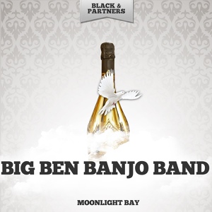 Обложка для Big Ben Banjo Band - Little White Lies