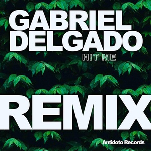 Обложка для Gabriel Delgado - Hit Me