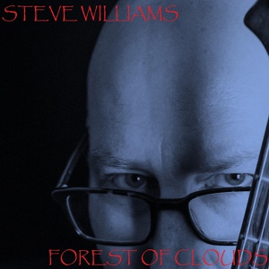 Обложка для Steve Williams - Forest of Clouds