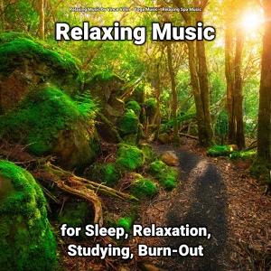 Обложка для Relaxing Music by Vince Villin, Yoga Music, Relaxing Spa Music - Relaxing Music for Sleep and Relaxation Part 88