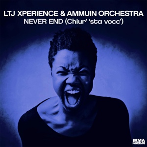 Обложка для LTJ Xperience, Ammuin Orchestra - Never End