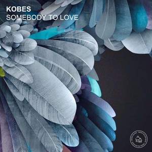 Обложка для Kobes - Somebody to Love (Bow Chi Bow Mix)