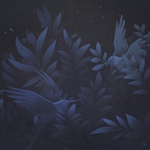 Обложка для Hevi - Two Night Birds