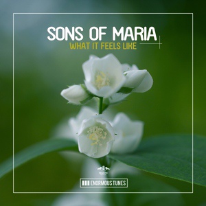 Обложка для [NFD™] Sons Of Maria - Our Love (Original Mix)