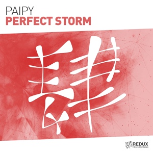 Обложка для Paipy - Perfect Storm