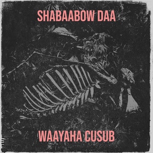 Обложка для Waayaha Cusub - Shabaabow Daa