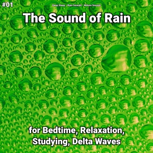 Обложка для Deep Sleep, Rain Sounds, Nature Sounds - Rain for Calming