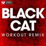 Обложка для Power Music Workout - Black Cat