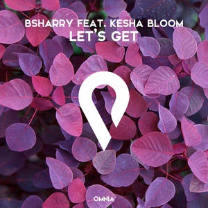 Обложка для Bsharry feat. Kesha Bloom - Let's Get